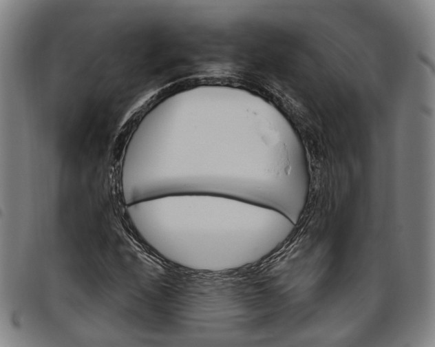 X0000096661208200802191258