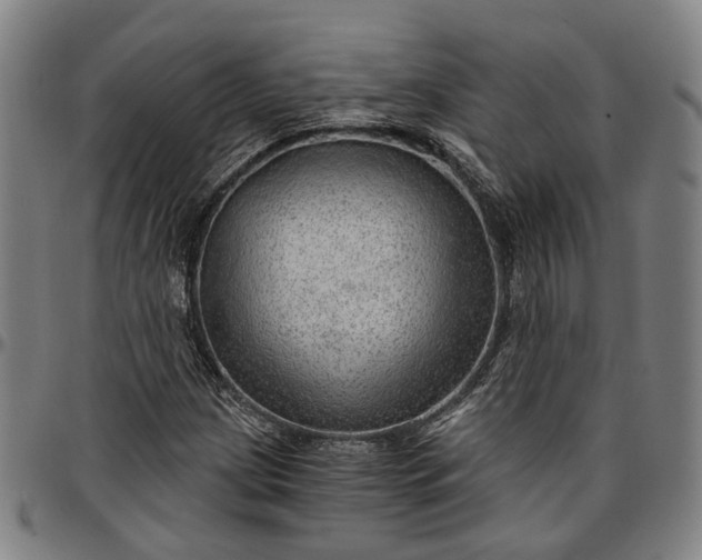 X0000096661209200802191258