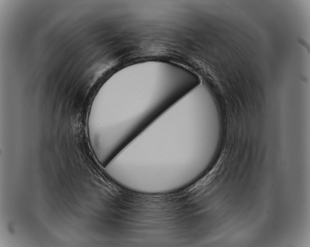 X0000096661210200802191258