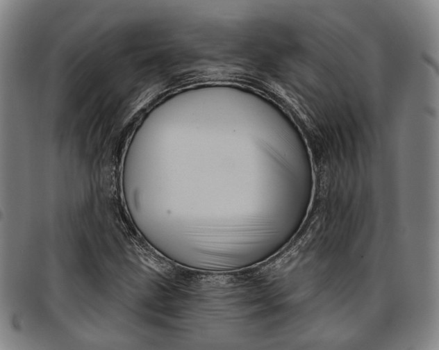 X0000096661211200802191258