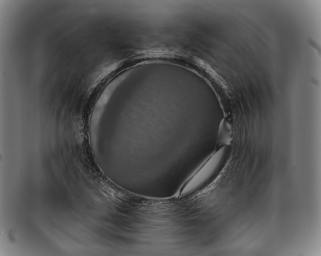 X0000096661213200802191258