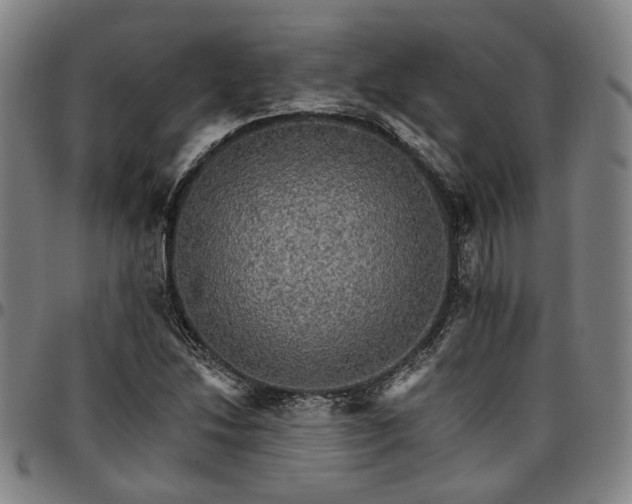 X0000096661214200802191258