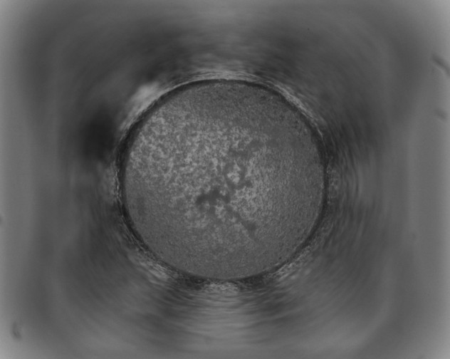 X0000096661215200802191258