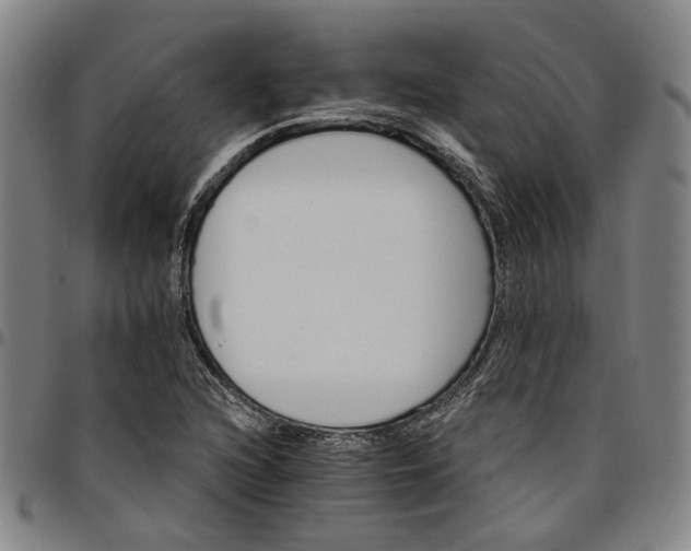 X0000096661216200802191258