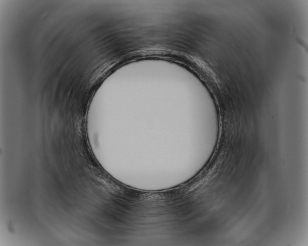 X0000096661217200802191258