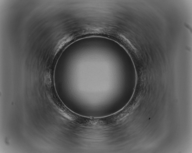 X0000096661218200802191258