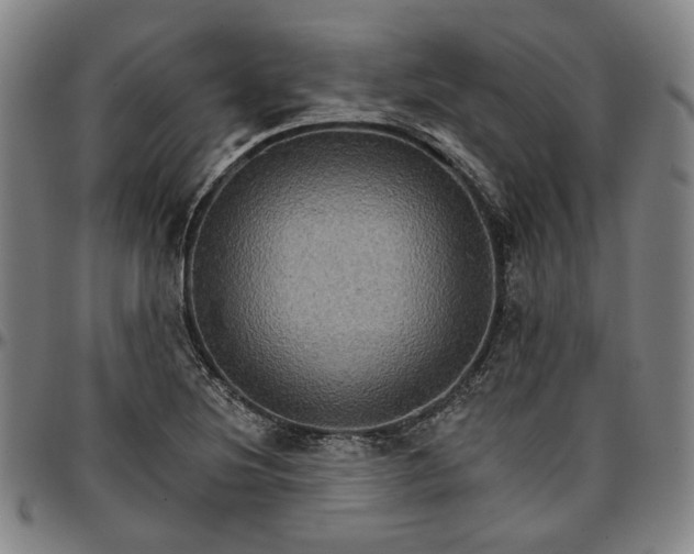 X0000096661220200802191258