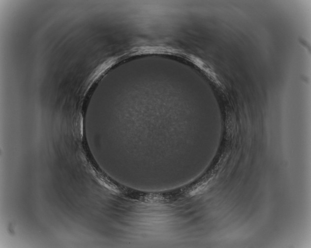 X0000096661221200802191258