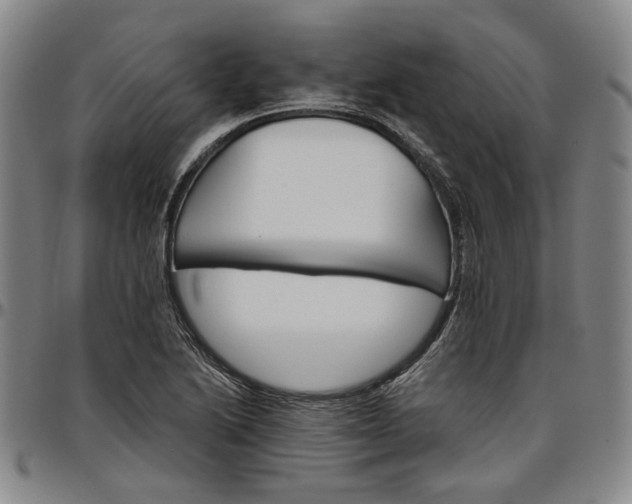 X0000096661222200802191258