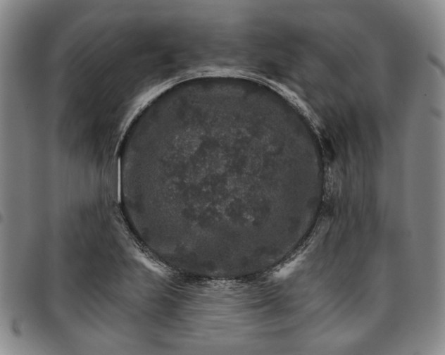 X0000096661223200802191258