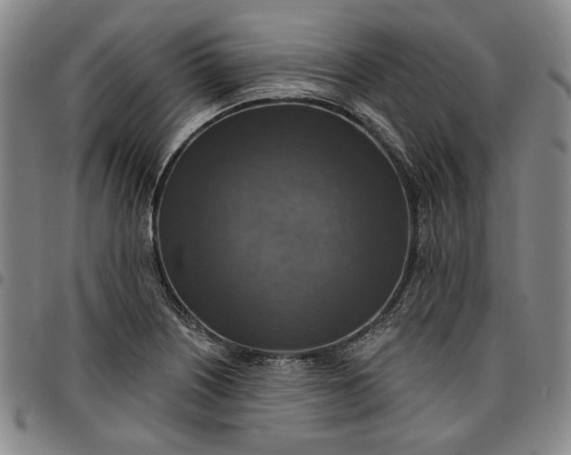 X0000096661226200802191259