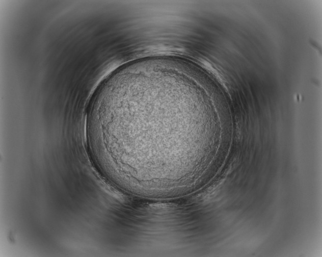 X0000096661227200802191259