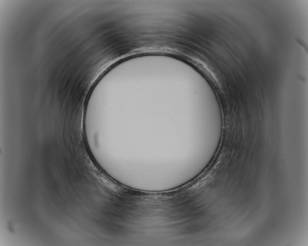 X0000096661228200802191259