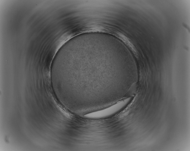 X0000096661234200802191259