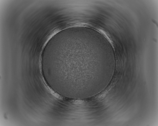 X0000096661235200802191259