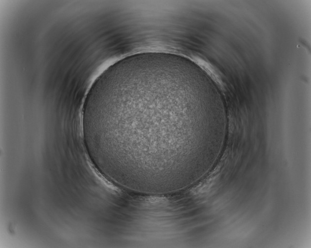 X0000096661238200802191259