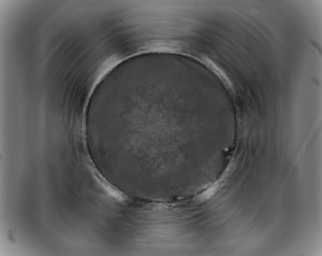 X0000096661240200802191259