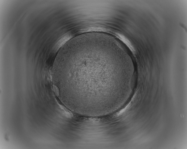 X0000096661241200802191259