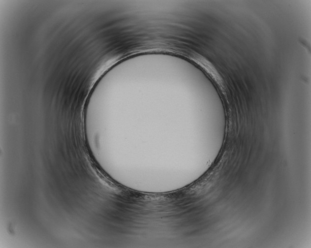 X0000096661242200802191259