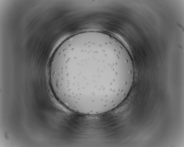 X0000096661243200802191259