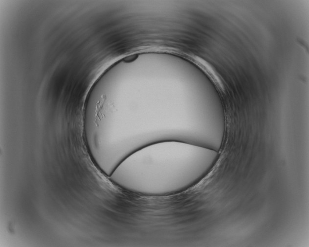 X0000096661244200802191259