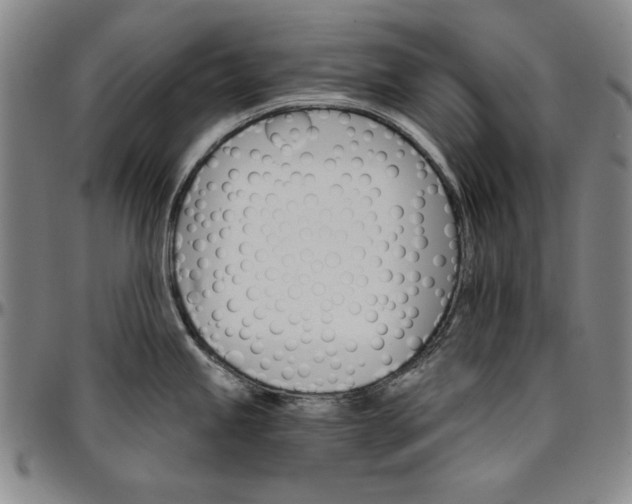 X0000096661245200802191259