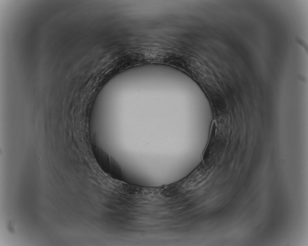 X0000096661249200802191258