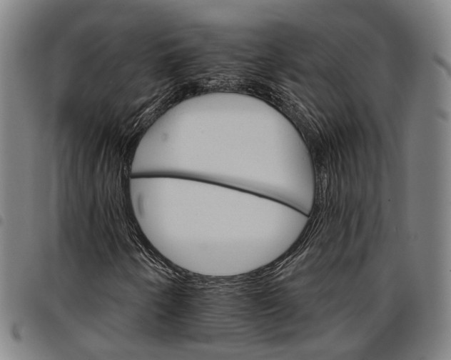 X0000096661250200802191258