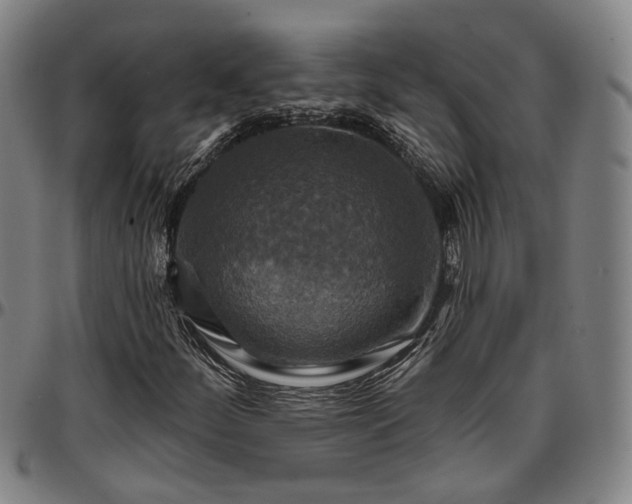 X0000096661252200802191258