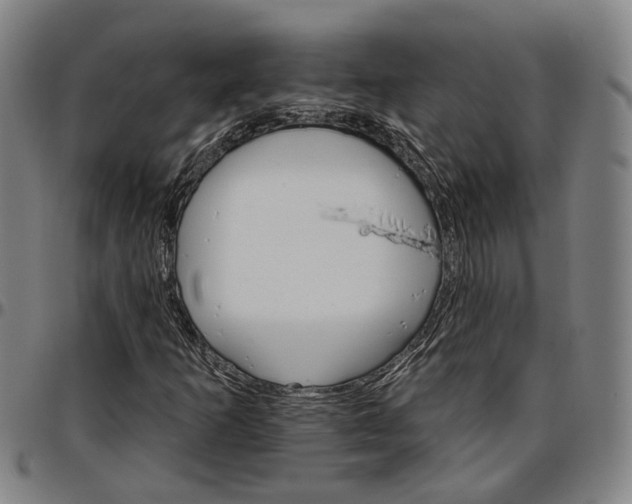 X0000096661253200802191258