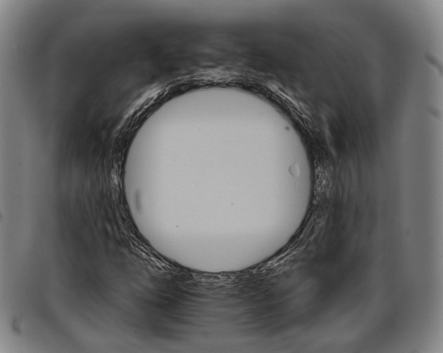 X0000096661254200802191258