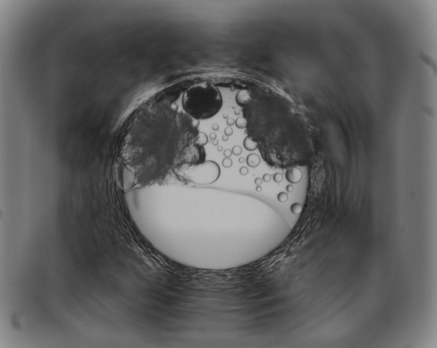 X0000096661255200802191258