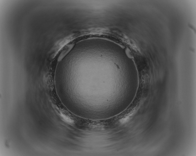 X0000096661256200802191258