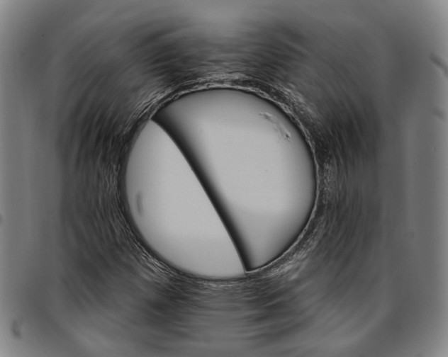 X0000096661257200802191258