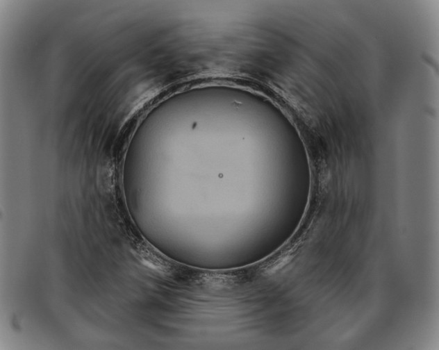 X0000096661258200802191258