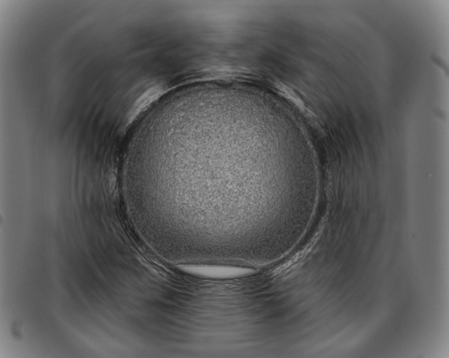 X0000096661259200802191258