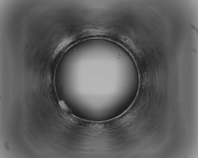 X0000096661261200802191258