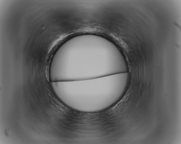 X0000096661262200802191258