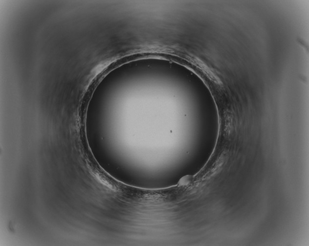 X0000096661264200802191258