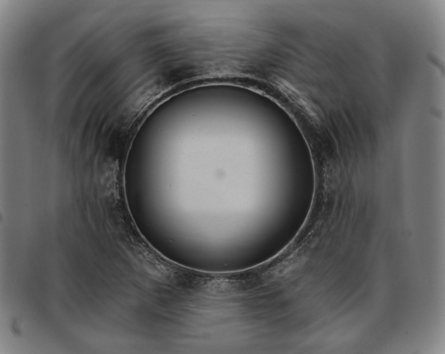 X0000096661265200802191258