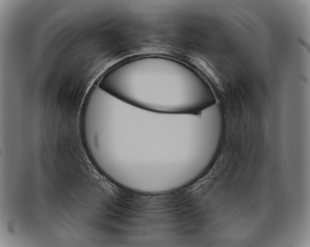 X0000096661268200802191258