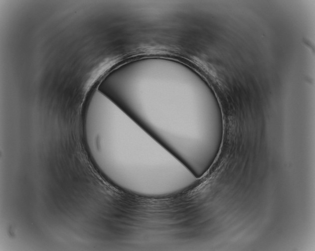 X0000096661269200802191258