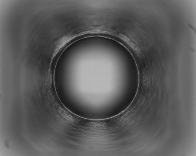 X0000096661270200802191258