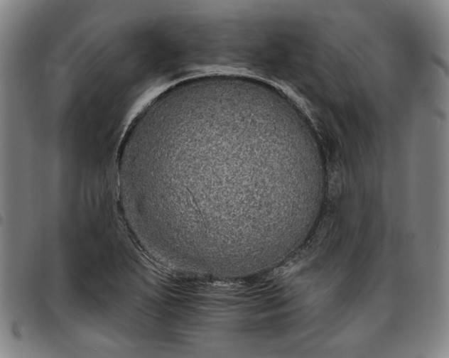 X0000096661271200802191258