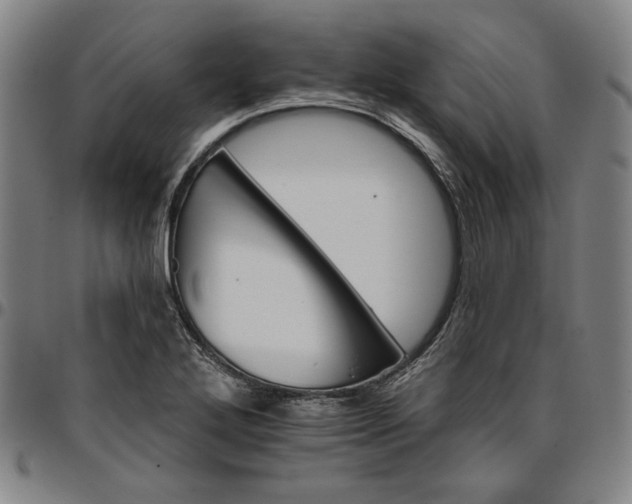 X0000096661272200802191258