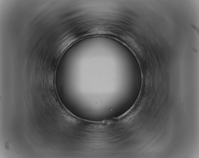 X0000096661273200802191258