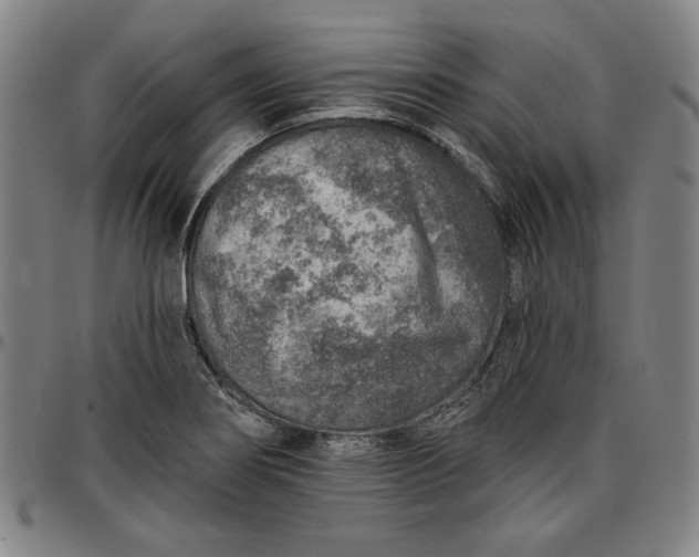 X0000096661274200802191258