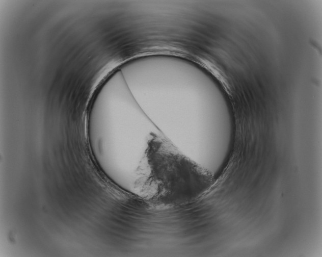 X0000096661275200802191258