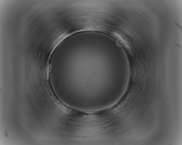 X0000096661276200802191258