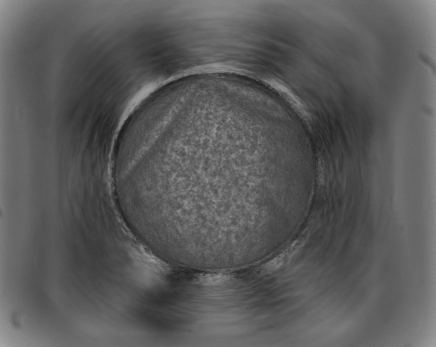 X0000096661278200802191258